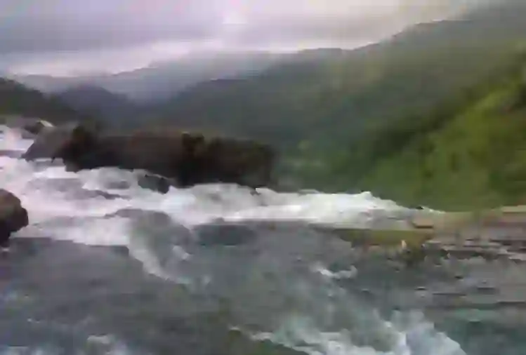 image of Scotland's Coorg of India looks very beautiful, in the rainy season..